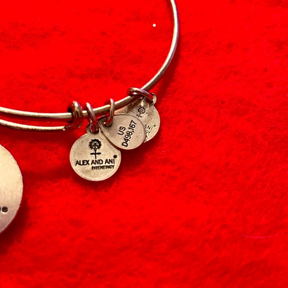 Alex and Ani Completely Blessed bangle bracelet - Picture 5 of 5